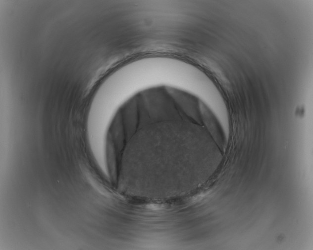 X0000092020496200709201554