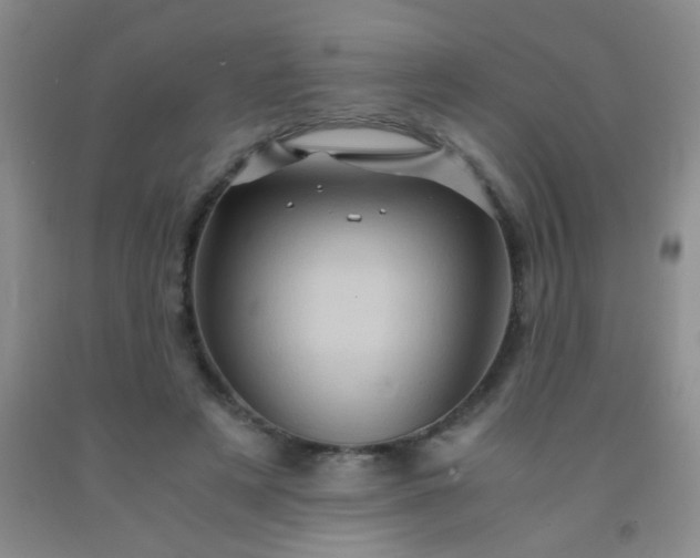 X0000092020497200709201554