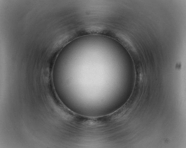 X0000092020498200709201554