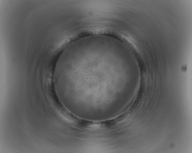 X0000092020499200709201554