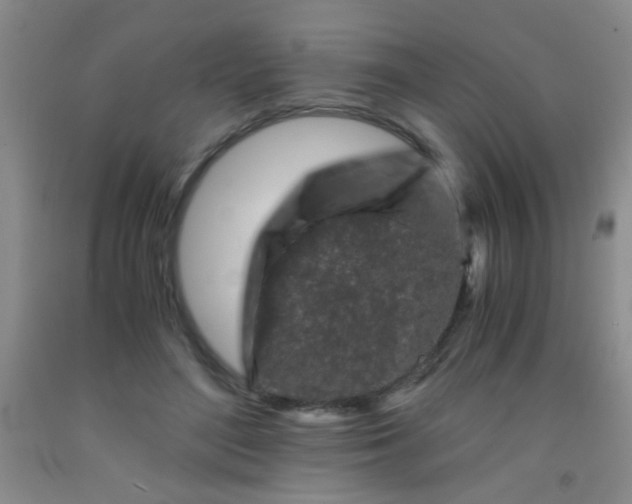 X0000092020500200709201554