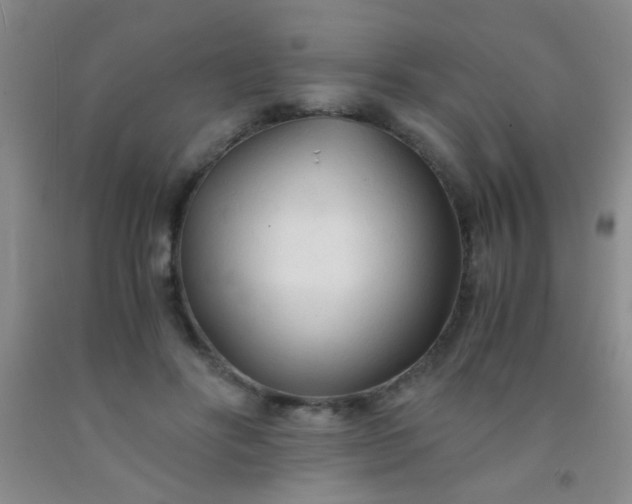 X0000092020502200709201554