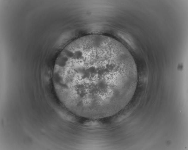 X0000092020503200709201554