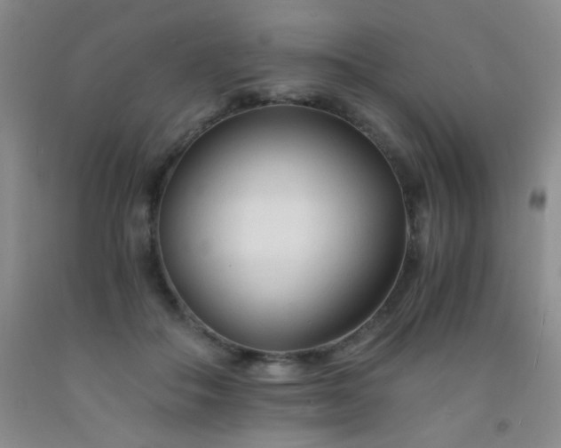 X0000092020506200709201554