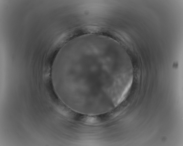 X0000092020507200709201554