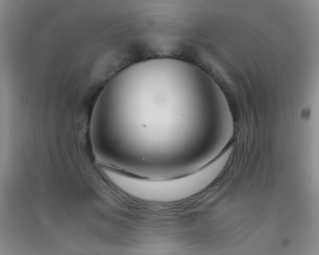 X0000092020509200709201554