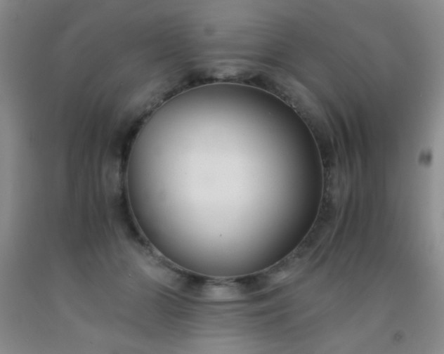 X0000092020510200709201554