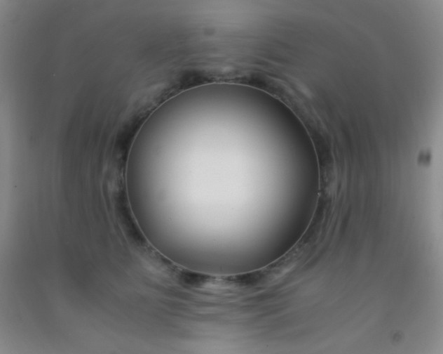 X0000092020515200709201554