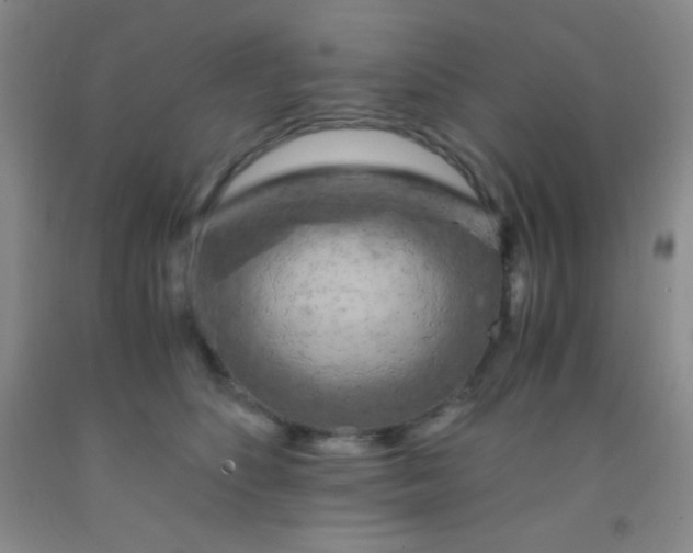 X0000092020516200709201554