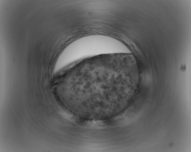 X0000092020517200709201554