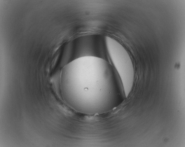 X0000092020520200709201554