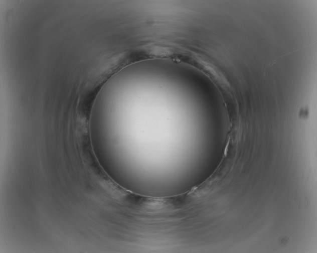 X0000092020521200709201554