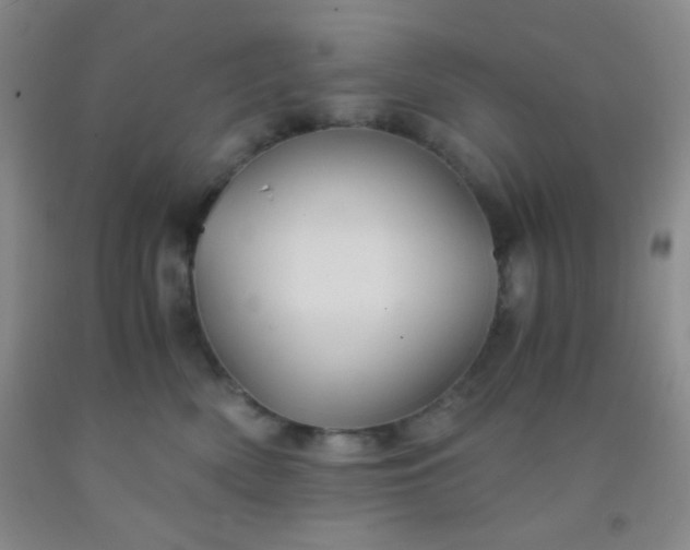 X0000092020522200709201554