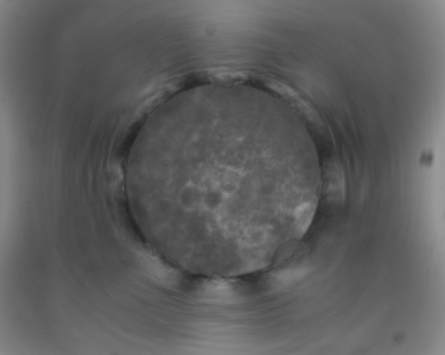 X0000092020523200709201554