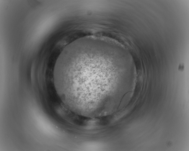 X0000092020527200709201554