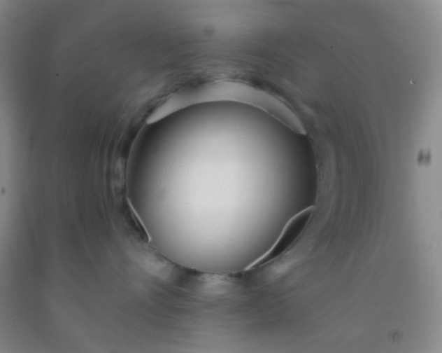 X0000092020528200709201554