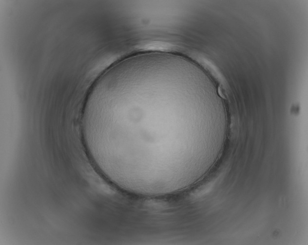 X0000092020529200709201553