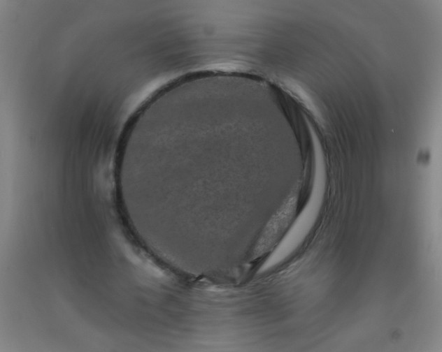 X0000092020532200709201553