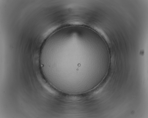 X0000092020533200709201553