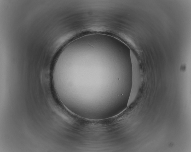 X0000092020535200709201553