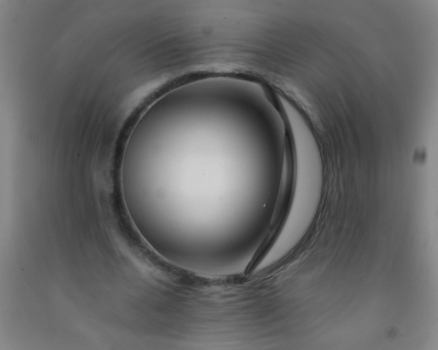 X0000092020536200709201553