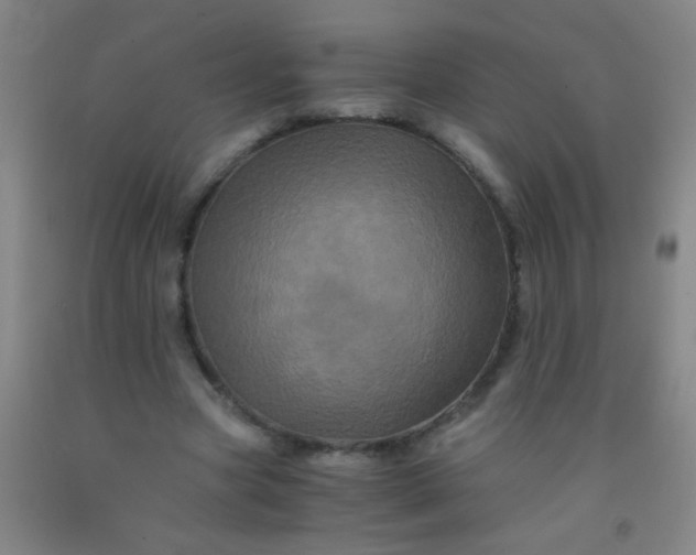 X0000092020537200709201553