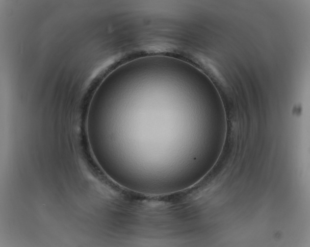 X0000092020539200709201553