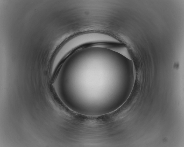 X0000092020540200709201553