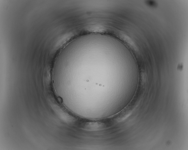 X0000092020541200709201553