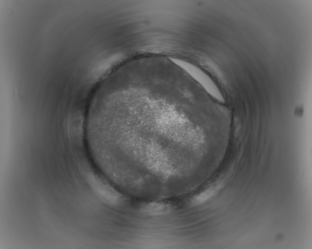 X0000092020542200709201553