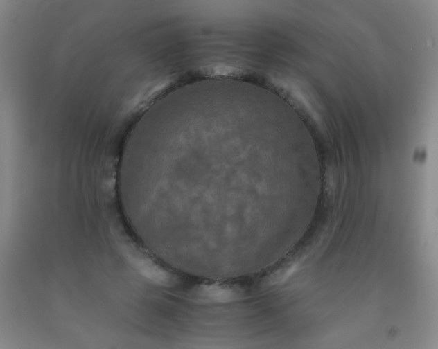 X0000092020545200709201553