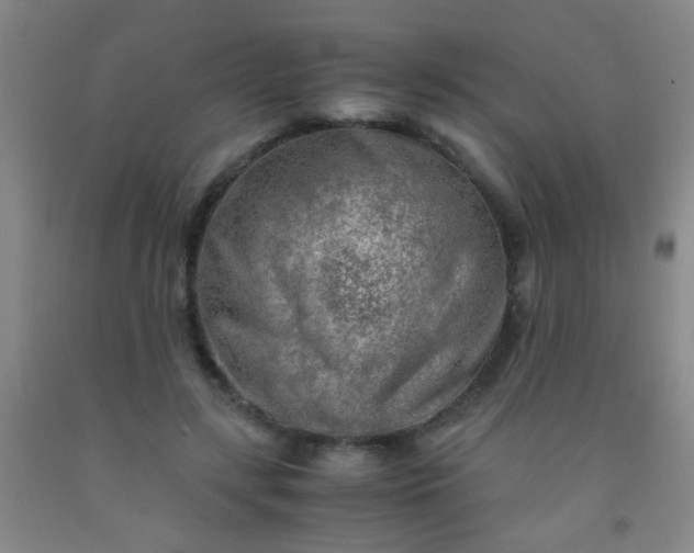 X0000092020547200709201553