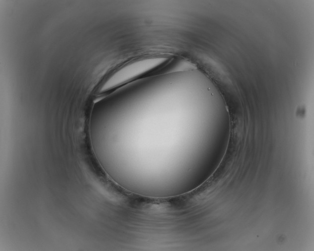 X0000092020548200709201553