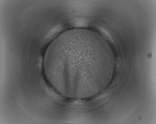 X0000092020550200709201553