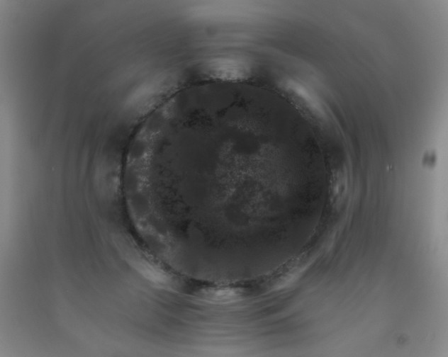 X0000092020553200709201554