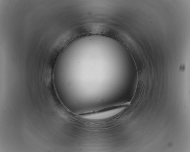 X0000092020554200709201554