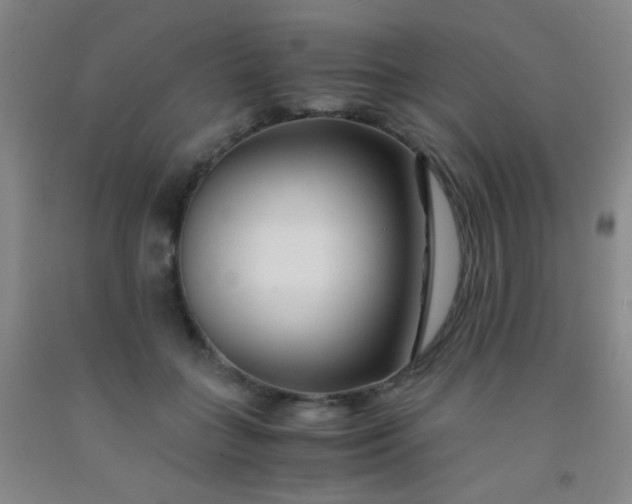 X0000092020555200709201554