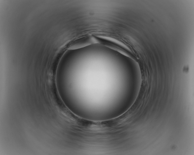 X0000092020556200709201554