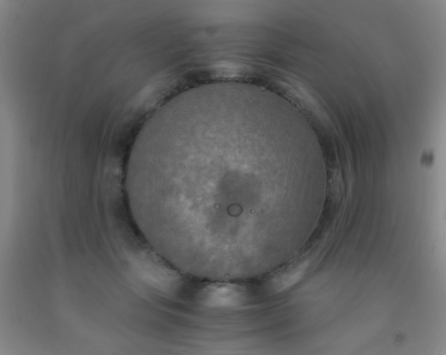 X0000092020557200709201554