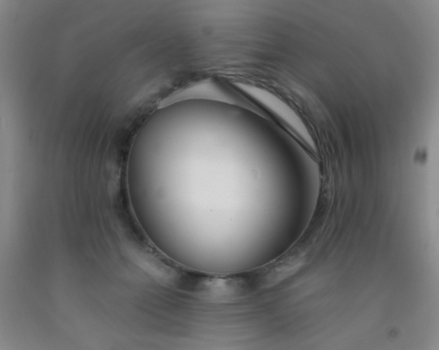 X0000092020558200709201554