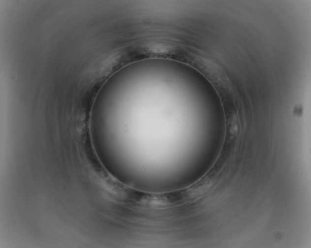 X0000092020559200709201554