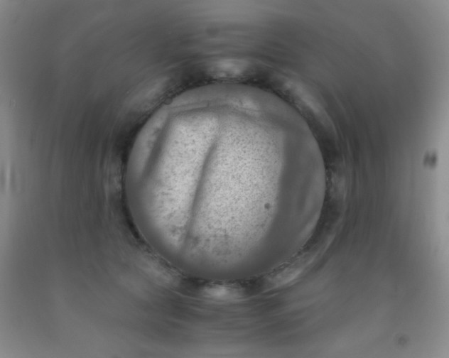 X0000092020561200709201554