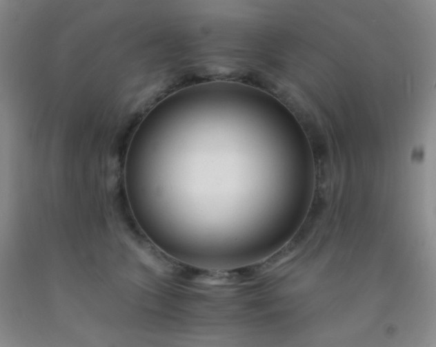 X0000092020563200709201554