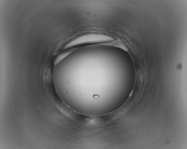 X0000092020564200709201554