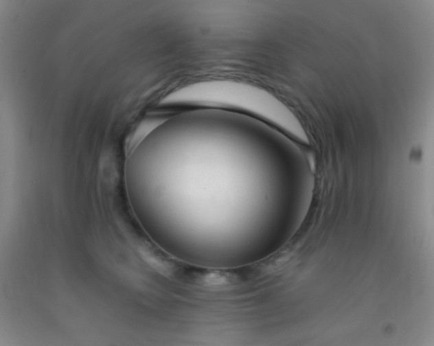 X0000092020566200709201554