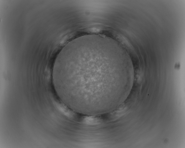 X0000092020568200709201554