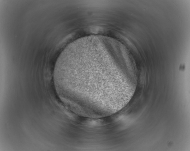 X0000092020569200709201554