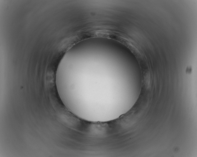 X0000092020571200709201554