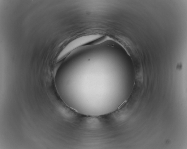 X0000092020572200709201554