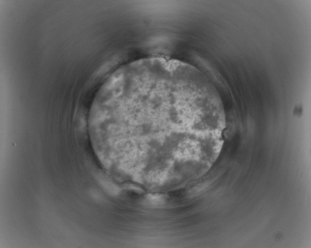 X0000092020573200709201554